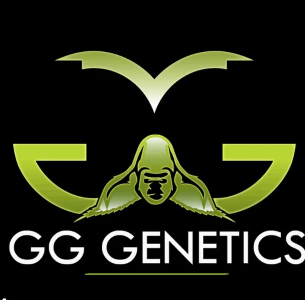 GG Genetics